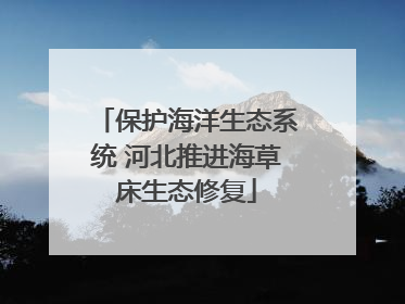 保护海洋生态系统 河北推进海草床生态修复