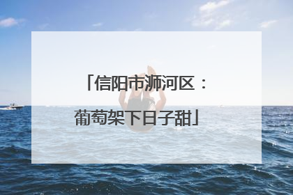 信阳市浉河区：葡萄架下日子甜