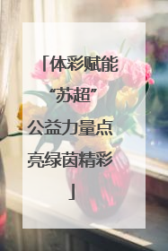 体彩赋能“苏超” 公益力量点亮绿茵精彩