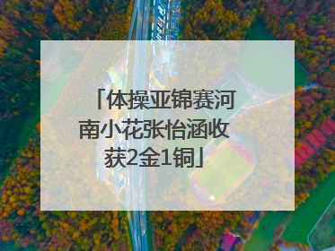体操亚锦赛河南小花张怡涵收获2金1铜