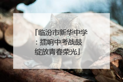 临汾市新华中学：擂响中考战鼓 绽放青春荣光