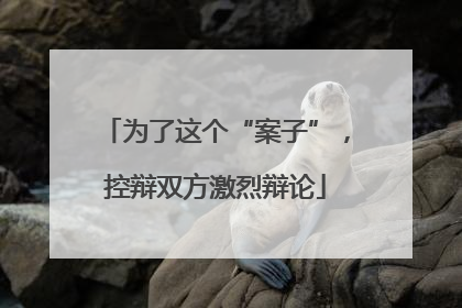 为了这个“案子”，控辩双方激烈辩论