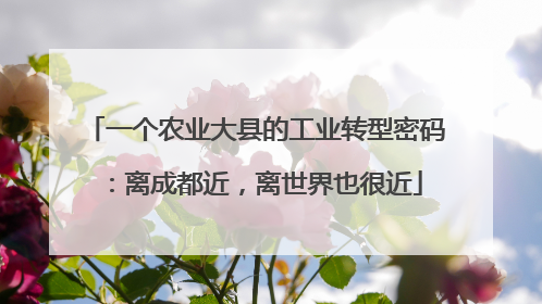 一个农业大县的工业转型密码：离成都近，离世界也很近