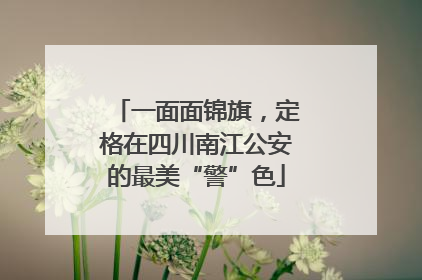 一面面锦旗,定格在四川南江公安的最美“警”色