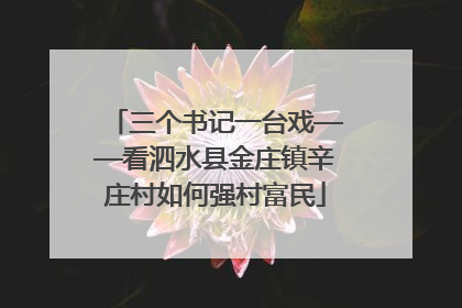 三个书记一台戏——看泗水县金庄镇辛庄村如何强村富民