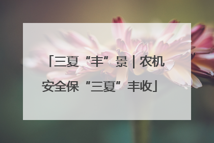 三夏“丰”景｜农机安全保“三夏”丰收