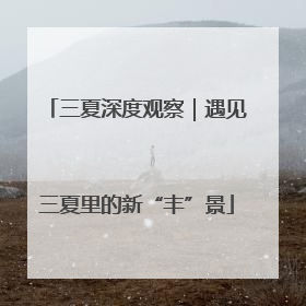 三夏深度观察｜遇见三夏里的新“丰”景