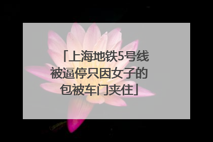 上海地铁5号线被逼停只因女子的包被车门夹住