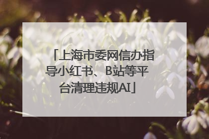 上海市委网信办指导小红书、B站等平台清理违规AI