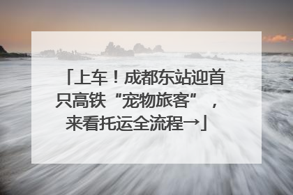 上车！成都东站迎首只高铁“宠物旅客”，来看托运全流程→