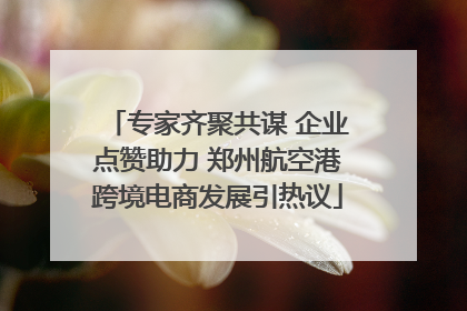 专家齐聚共谋 企业点赞助力 郑州航空港跨境电商发展引热议