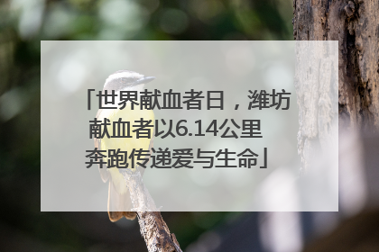 世界献血者日，潍坊献血者以6.14公里奔跑传递爱与生命