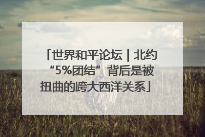 世界和平论坛｜北约“5%团结”背后是被扭曲的跨大西洋关系