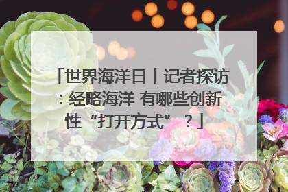 世界海洋日丨记者探访：经略海洋 有哪些创新性“打开方式”？