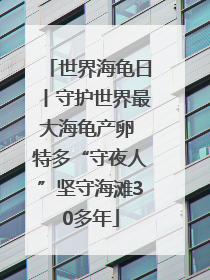 世界海龟日丨守护世界最大海龟产卵 特多“守夜人”坚守海滩30多年