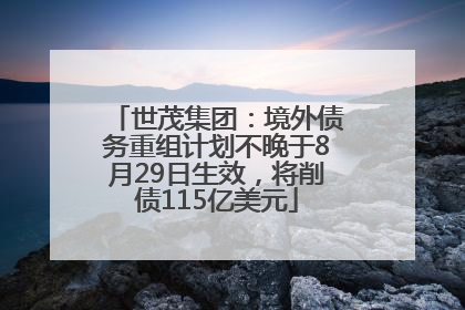 世茂集团：境外债务重组计划不晚于8月29日生效，将削债115亿美元