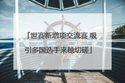世赛新增项交流赛 吸引多国选手来穗切磋