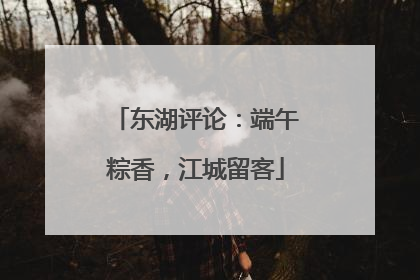 东湖评论：端午粽香，江城留客