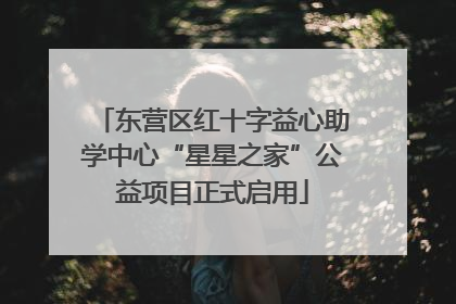 东营区红十字益心助学中心“星星之家”公益项目正式启用