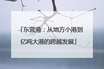 东营港：从地方小港到亿吨大港的跨越发展