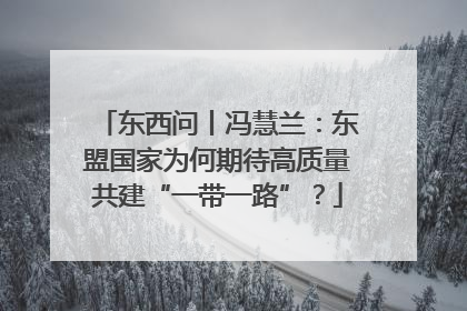 东西问丨冯慧兰:东盟国家为何期待高质量共建“一带一路”?