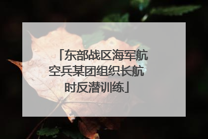 东部战区海军航空兵某团组织长航时反潜训练