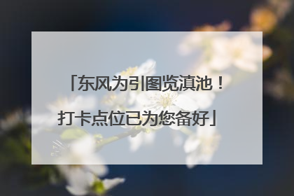 东风为引图览滇池！打卡点位已为您备好
