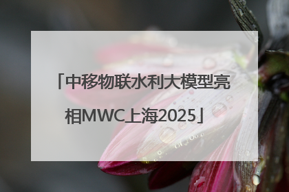 中移物联水利大模型亮相MWC上海2025