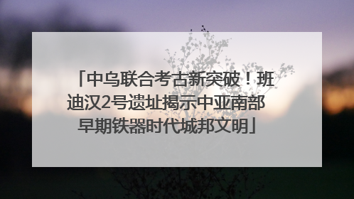 中乌联合考古新突破！班迪汉2号遗址揭示中亚南部早期铁器时代城邦文明