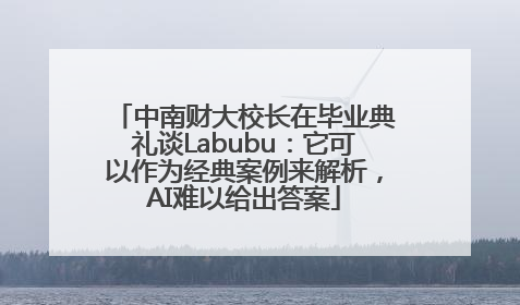 中南财大校长在毕业典礼谈Labubu：它可以作为经典案例来解析，AI难以给出答案