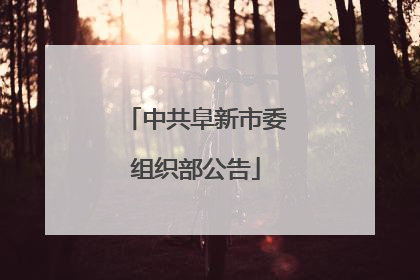 中共阜新市委组织部公告
