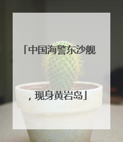 中国海警东沙舰，现身黄岩岛