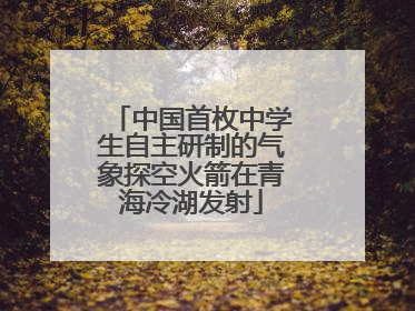中国首枚中学生自主研制的气象探空火箭在青海冷湖发射