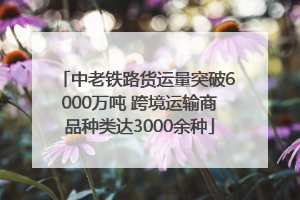 中老铁路货运量突破6000万吨 跨境运输商品种类达3000余种