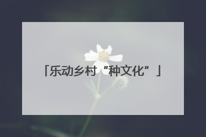 乐动乡村“种文化”