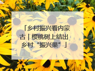 乡村振兴看内蒙古｜樱桃树上结出乡村“振兴果”