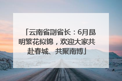 云南省副省长：6月昆明繁花似锦，欢迎大家共赴春城、共聚南博