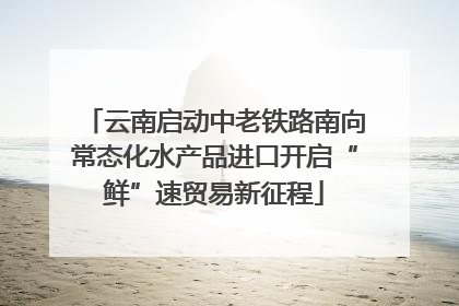 云南启动中老铁路南向常态化水产品进口开启“鲜”速贸易新征程