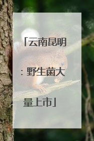 云南昆明：野生菌大量上市