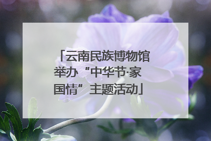 云南民族博物馆举办“中华节·家国情”主题活动