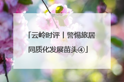 云岭时评丨警惕旅居同质化发展苗头④