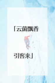 云菌飘香引客来