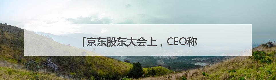 京东股东大会上，CEO称“今天用国补下了一单”