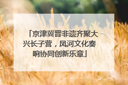 京津冀晋非遗齐聚大兴长子营，凤河文化奏响协同创新乐章