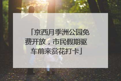 京西月季洲公园免费开放，市民假期驱车前来赏花打卡