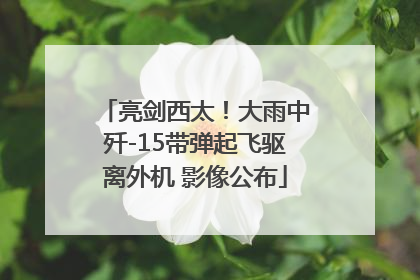 亮剑西太！大雨中歼-15带弹起飞驱离外机 影像公布