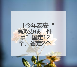 今年泰安“高效办成一件事”国定12个、省定2个事项正有序推进