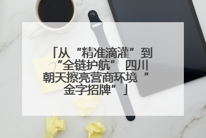 从“精准滴灌”到“全链护航” 四川朝天擦亮营商环境“金字招牌”