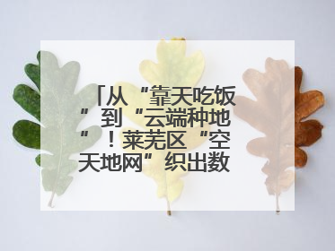 从“靠天吃饭”到“云端种地”！莱芜区“空天地网”织出数字农业新图景