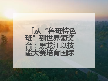从“鲁班特色班”到世界领奖台：黑龙江以技能大赛培育国际级工匠人才